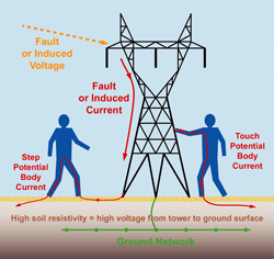 step and touch illustration